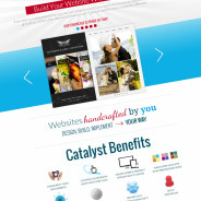 Popular WordPress Theme Frameworks